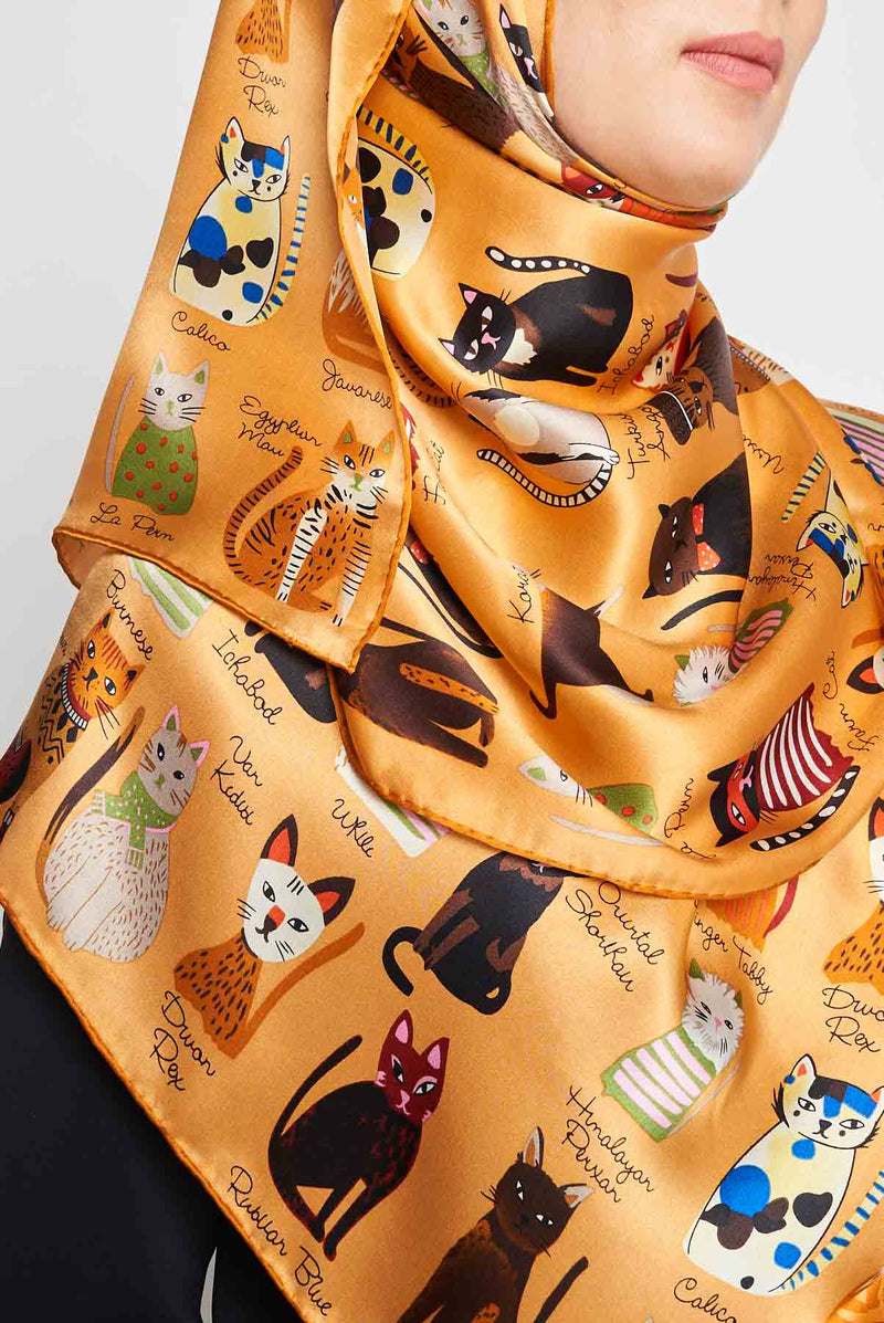 text -- cats orange
