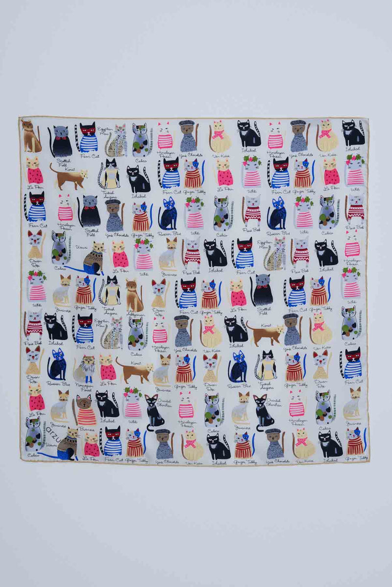 text -- cats white