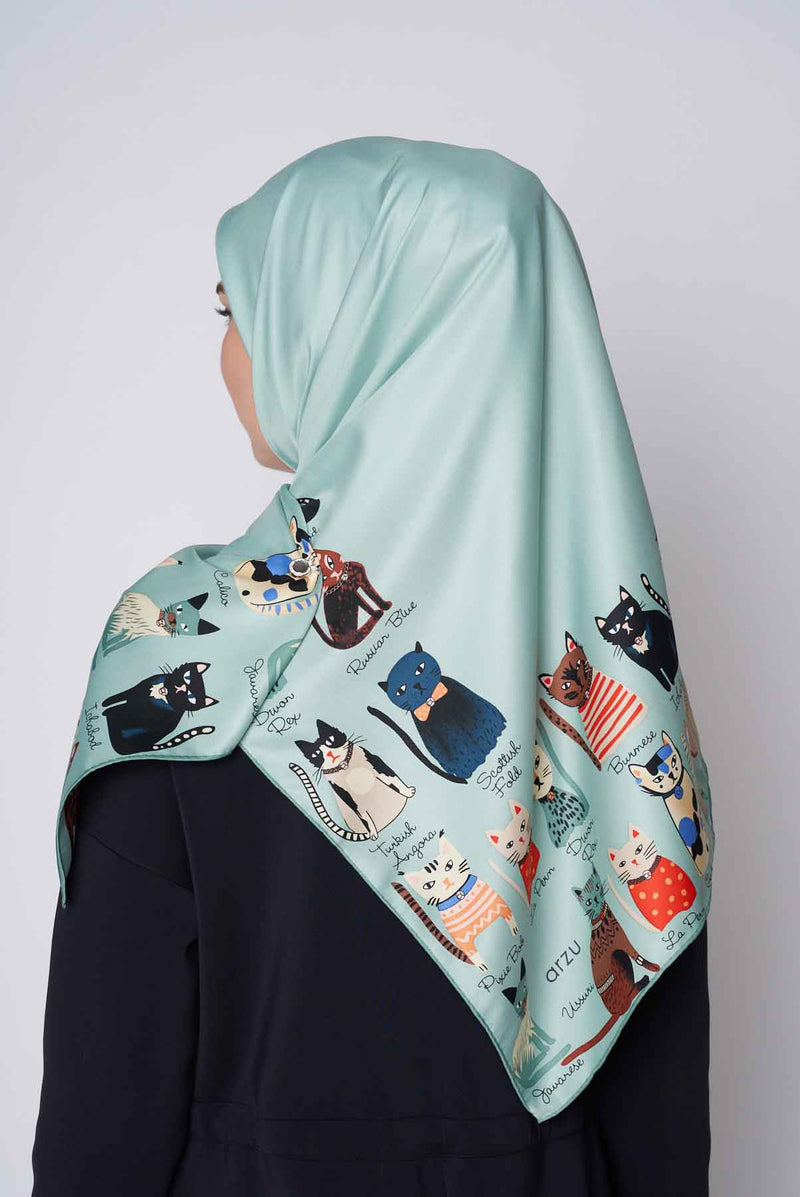text -- cats soft teal