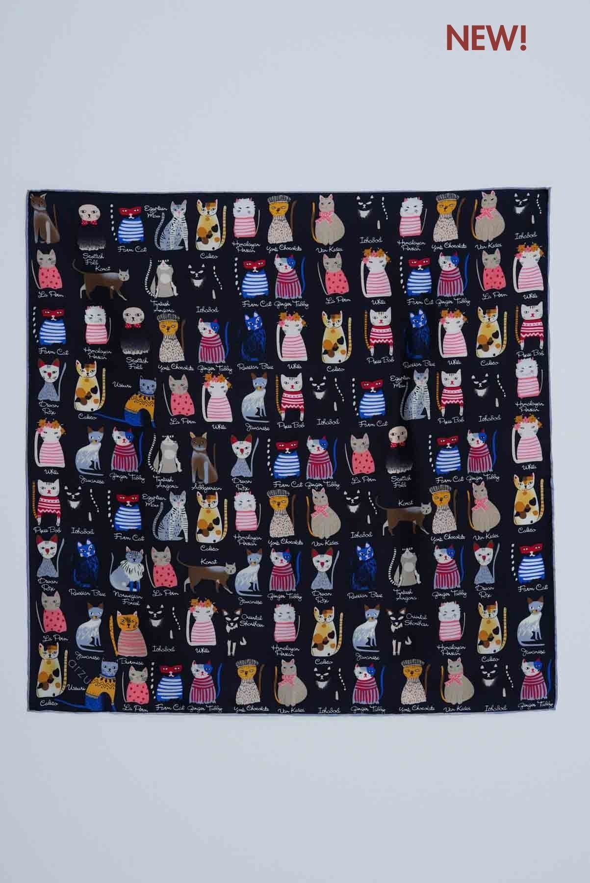 text -- cats black
