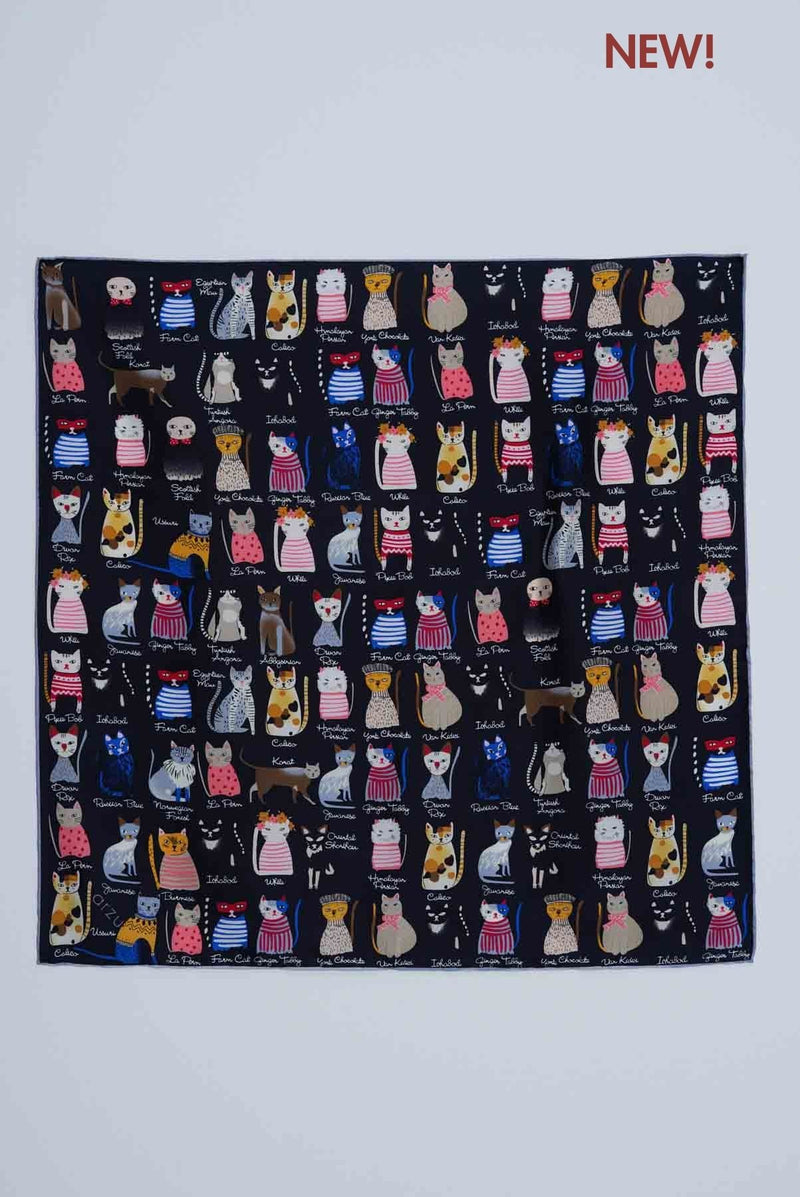 text -- cats black