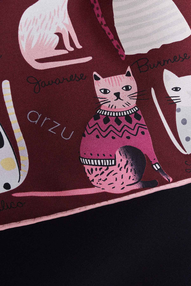 text -- cats maroon