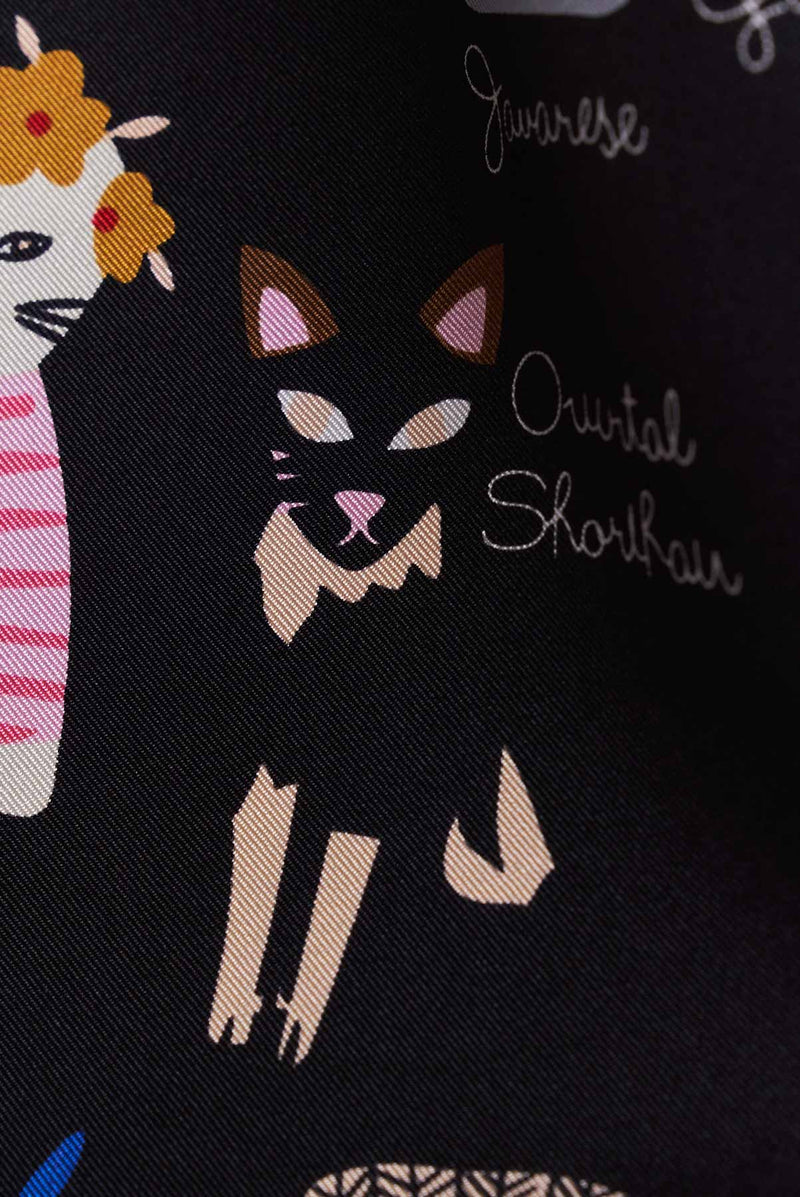 text -- cats black