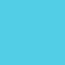 charms teal