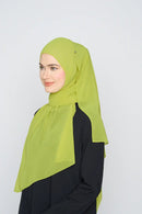 text -- georgette velvet green