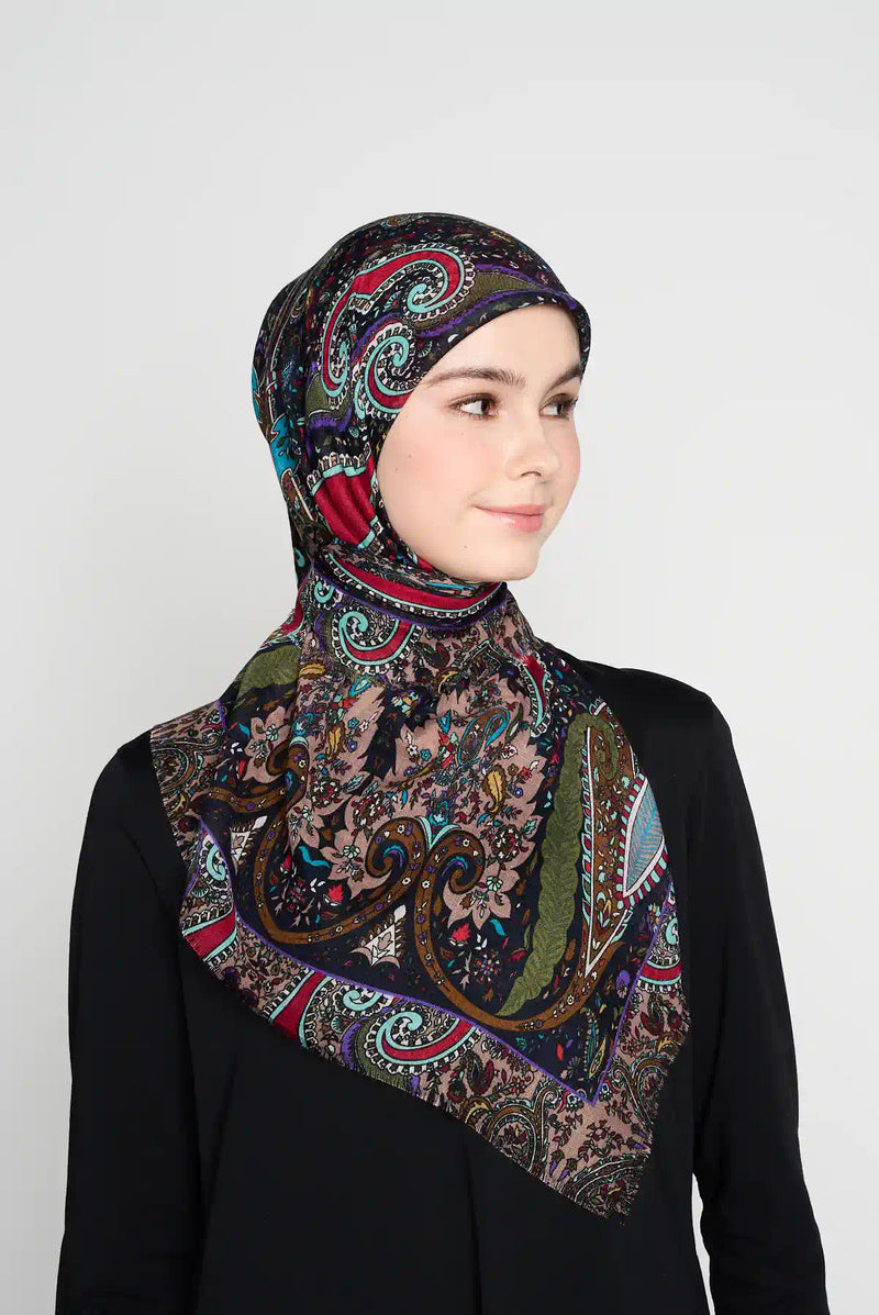 text -- classic paisley