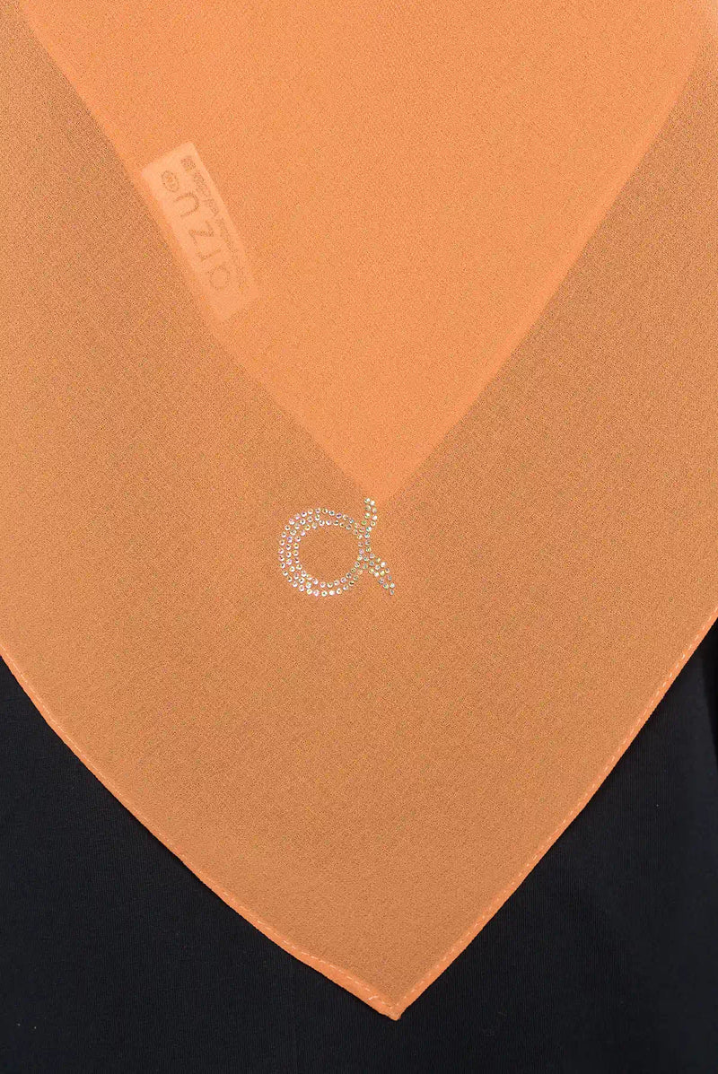 text -- georgette cinnamon