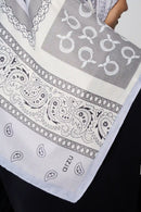 text -- paisley light grey