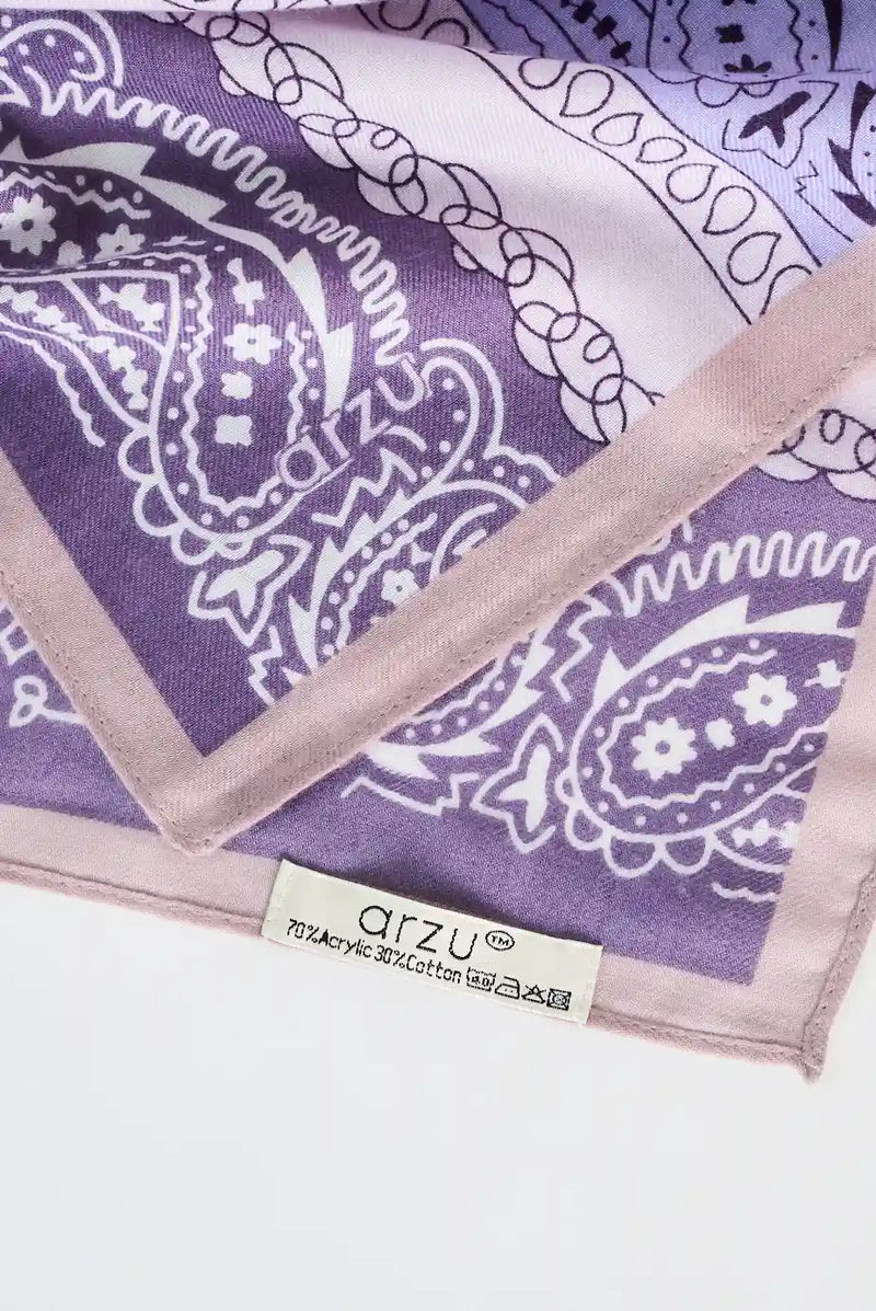 text -- paisley purple hues