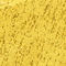 textured mustard