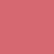 weekend rose coral